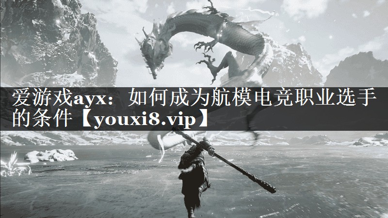 爱游戏ayx：如何成为航模电竞职业选手的条件